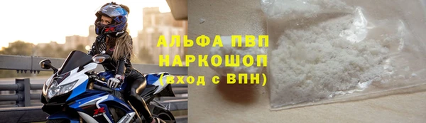 гашик Нефтекумск