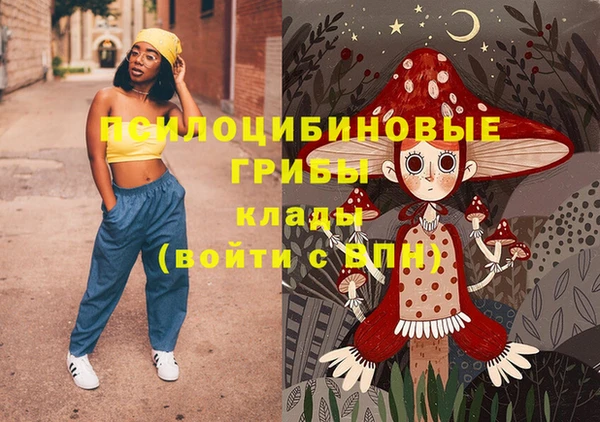 гашик Нефтекумск