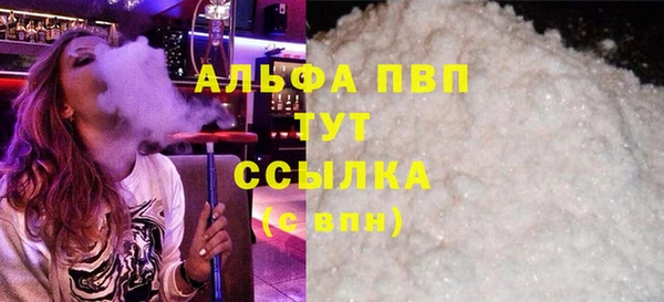 гашик Нефтекумск